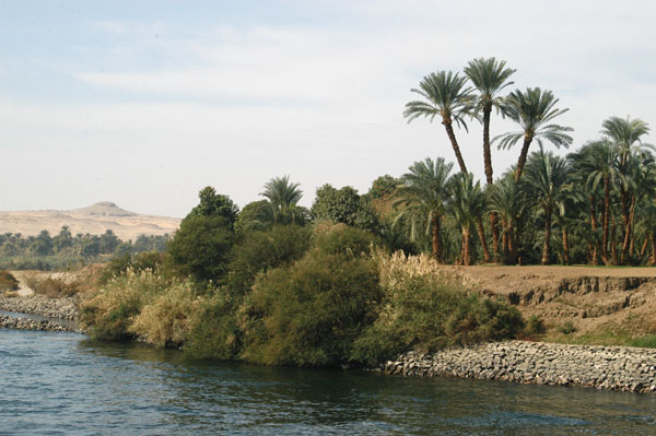 Between Kom Ombo and Aswan