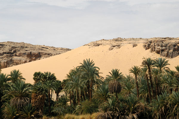 The Western Desert just behind the palm lined banks of the Nile