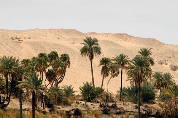 The western or Libyan Desert, Aswan