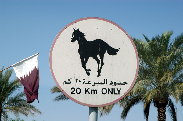 Racing and Equestrian Club, Rayyan (Doha)