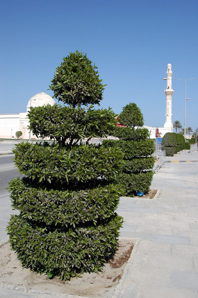 Public landscaping, Al Khor