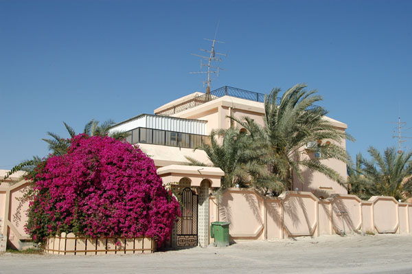 Villa with beautiful flowering bush, Al Khor