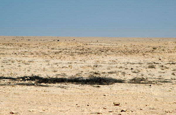 Rocky desert of northern Qatar
