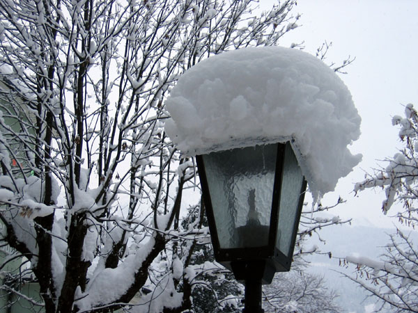 Street light covered with fresh snow