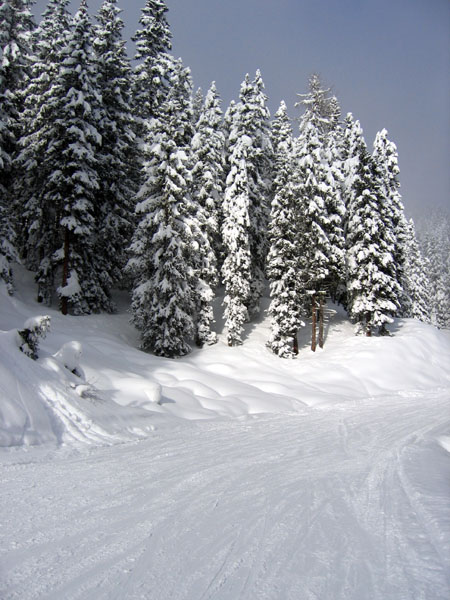 Ski piste, Bad Hofgastein