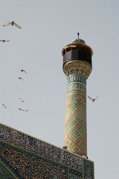 Birds flying around minaret