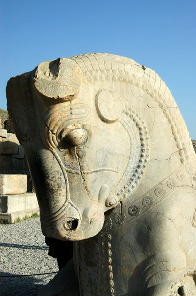 Horse-headed capital