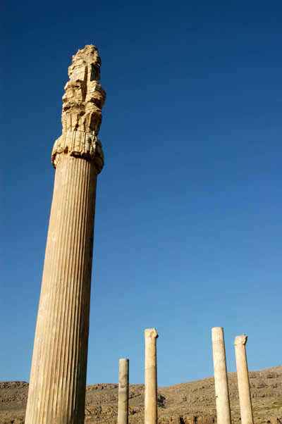 Columns of the Apadana Palace (Central Hall)