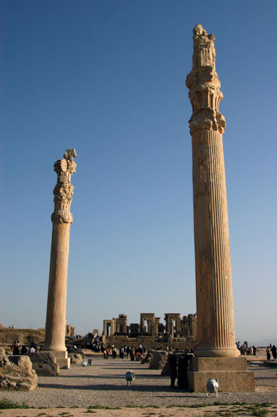 Columns of the Apadana Palace (Central Hall)