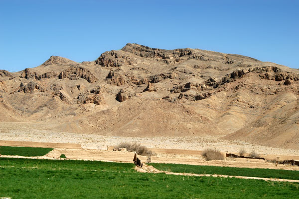 Agricuilture in Fars province near Abadeh