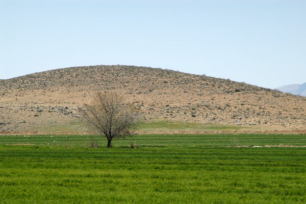 Agriculture, Fars Province