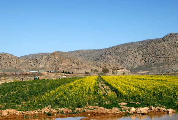 Agriculture, Fars Province