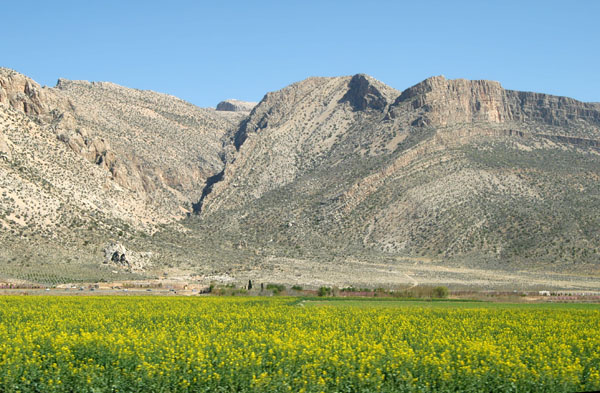 Fars Province in spring