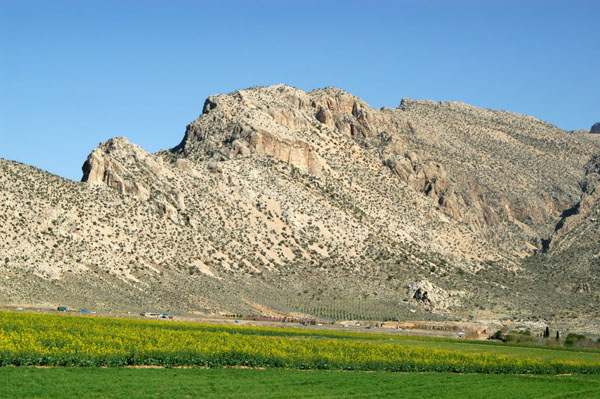 Fars Province in spring