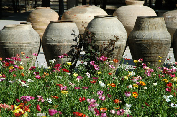 Pottery vessels and flowers, Pars Museum