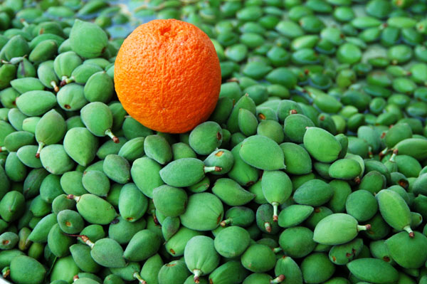 Green beans and an orange, Bazar-e Vakil