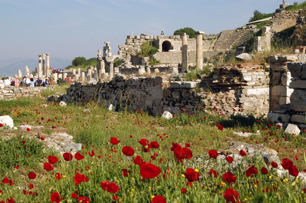 Spring flowers blooming near the upper (southeast) entrance to Ephesus