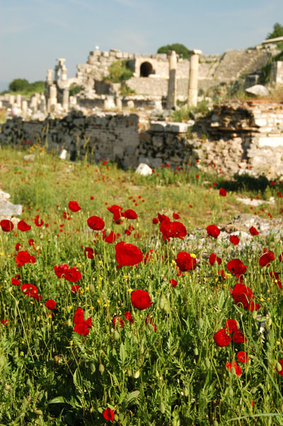 Flowers at Ephesus