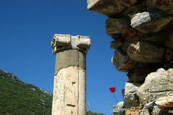 Column, Ephesus