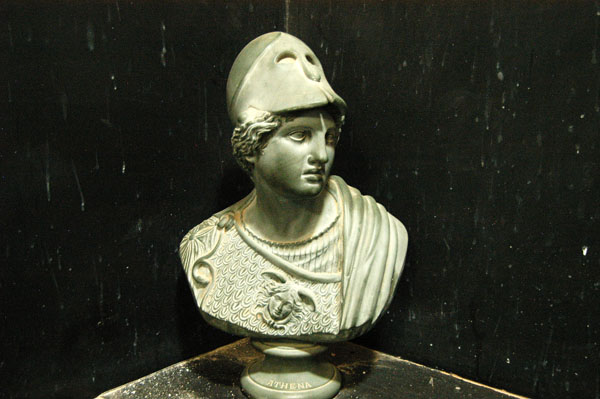 Cast of a bust of Athena from Vienna