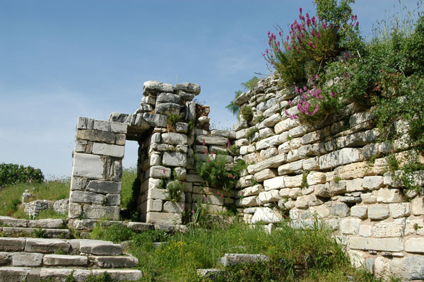 Ruins, Seluk