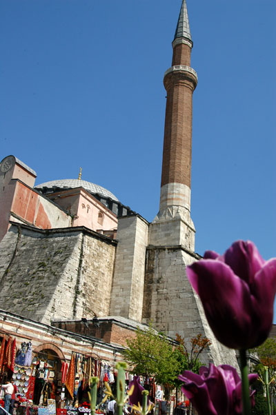 Aya Sofya minaret and tulip