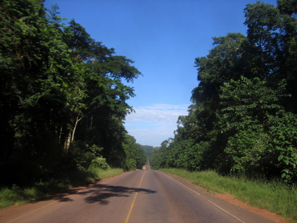 The road from Kampala to Jinja passing through the Mabira Forest Reserve
