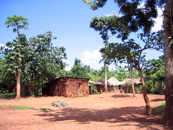 The road back to Jinja passes lots of small huts