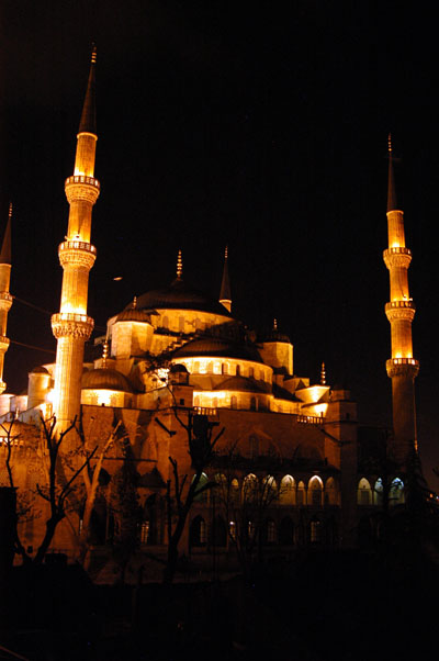 Blue Mosque at night