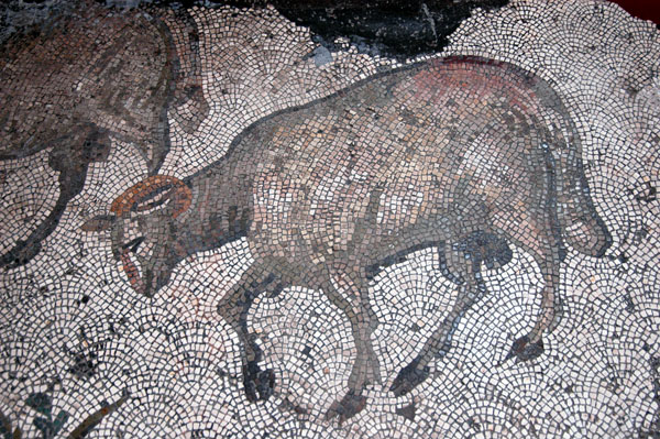 Ram, Great Palace Mosaic Museum