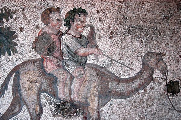 Two boys on a camel