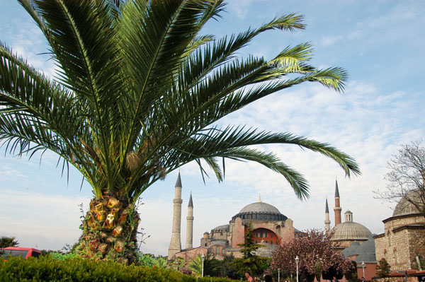 Ayasofya from the park in front of the Blue Mosque