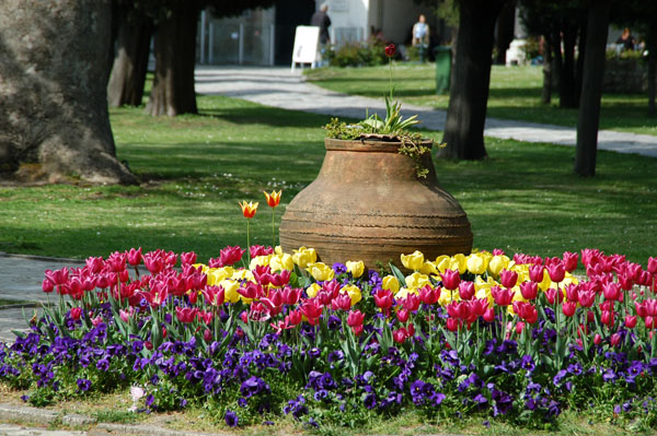 Tulips and a large pottery vessel