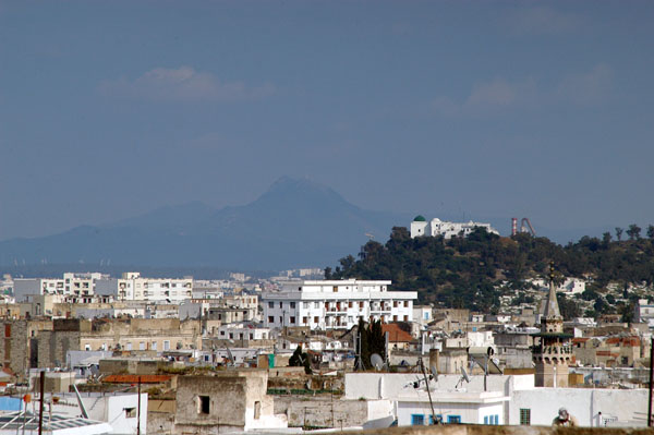 View of southern Tunis from the medina terrace over the Palais d'Orient