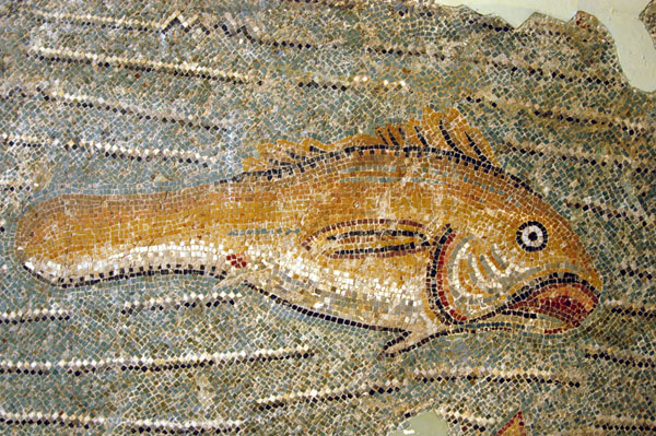 Mosaic fish, 3rd C. AD