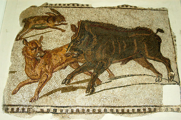 A dog attacks a wild boar (sanglier) Sousse, 2nd C. AD