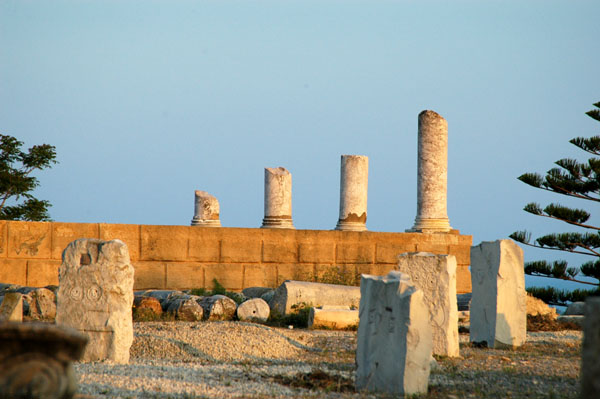 Ruins of the ancient capitol and forum from Carthage's Roman era, Byrsa Hill