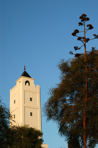 Maghreb style minaret, Tunisia