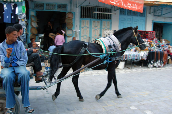 Horsecart driving along Av 7 Novembre, Kairouan medina