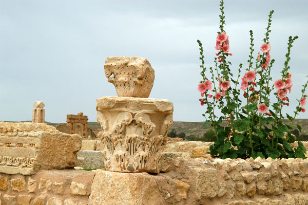 The archaeological park at Sbeitla has well tended gardens