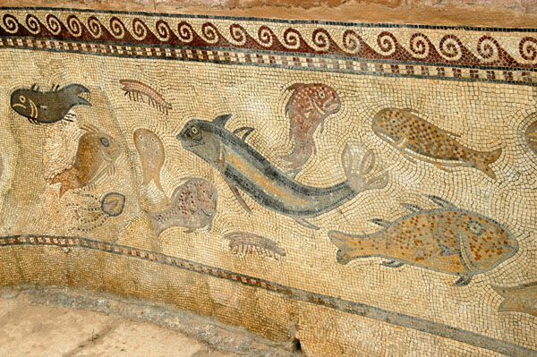 Mosaic of fish and sealife, Private Baths, Sbeitla