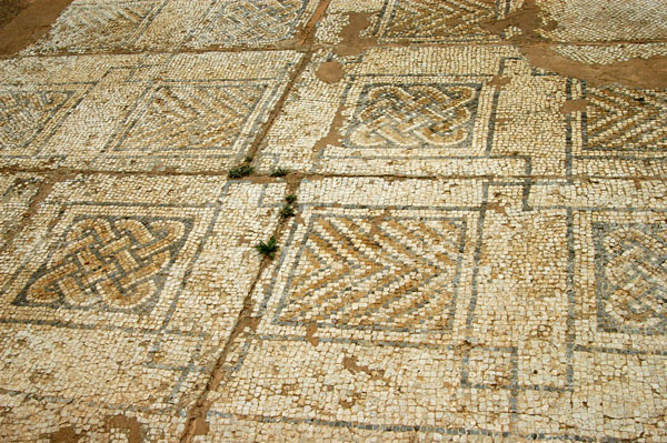 Mosaic floor, Great Baths, Sbeitla