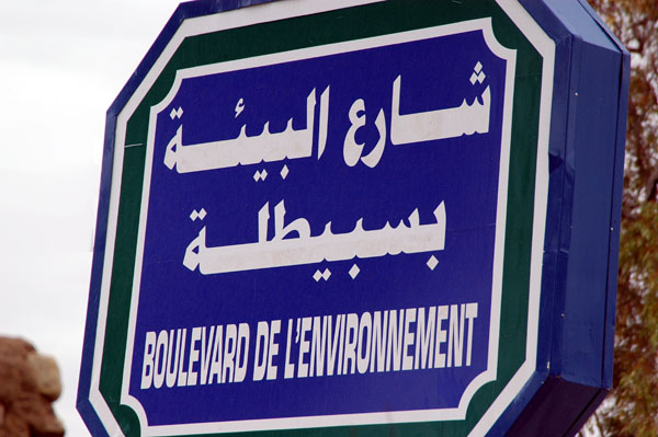 Since 1987, all Tunisian cities have a Boulevard de l'Environnement