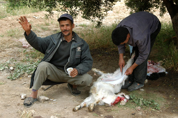 Butchers at work on a freshly slaughered goat