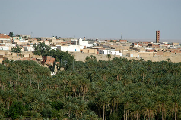 Palms of La Corbeille in Nefta seen from a terrace on the NW corner