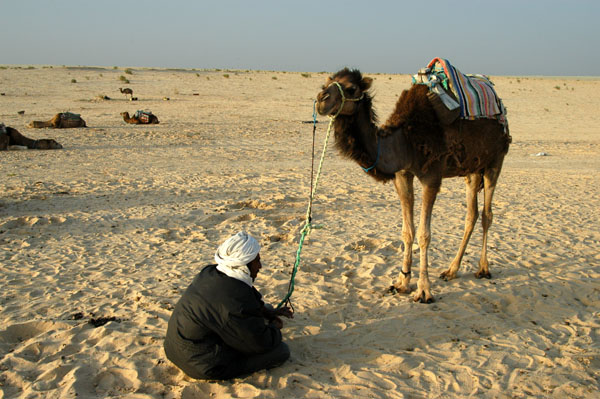 Camel guide hoping for a customer