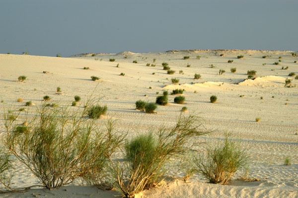 Desert at Dunes de Sable
