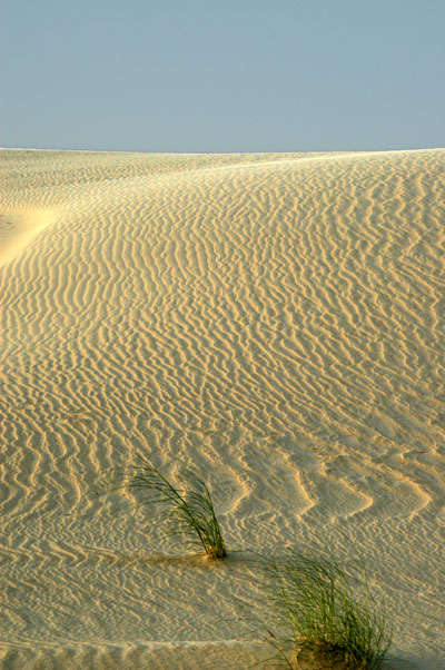 Dunes de Sable