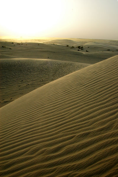 Dunes de Sable