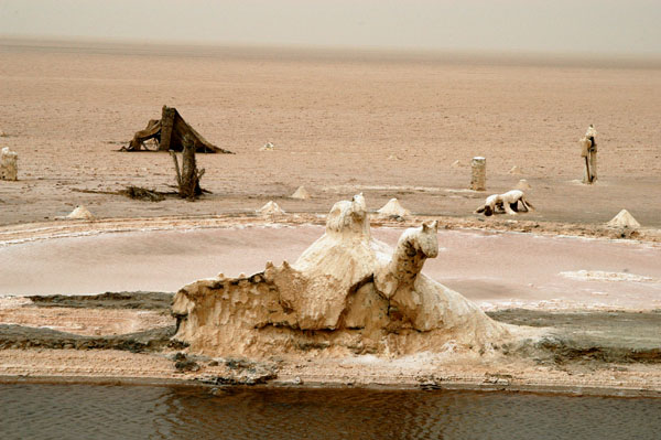 The Chott El Jerid, a large salt pan in southern Tunisia